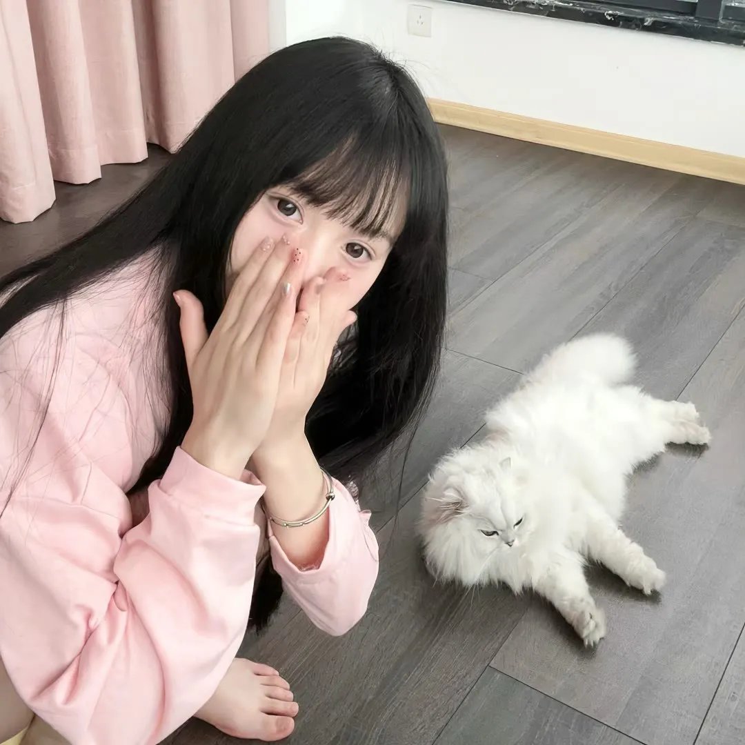 钢铁少女团2