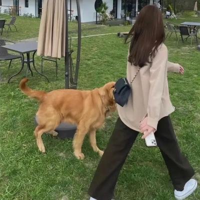 我的爱在我身边